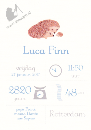 Mijlpalenposter